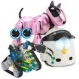 Playful Robots