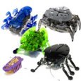 Hexbug