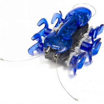 Hexbug Ant Blue