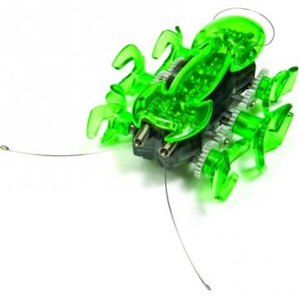 Hexbug Ant Verde