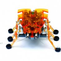 Hexbug Alpha