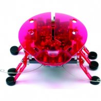 Hexbug Echo