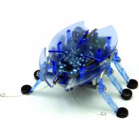 Hexbug Charlie