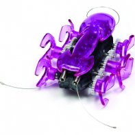 Hexbug Ant P&uacute;rpura