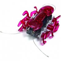 Hexbug Ant Rojo
