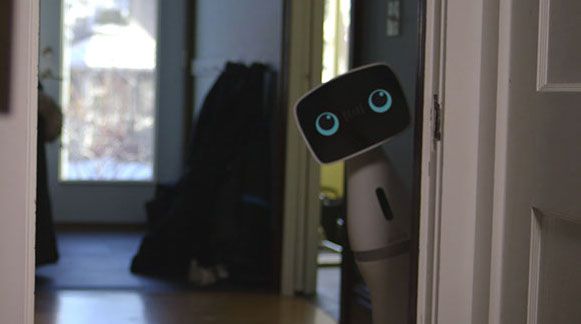 Domestic robot AIDO