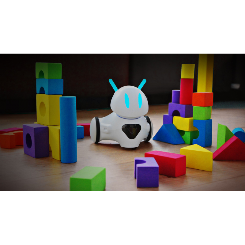 PHOTO robot educational and programmable