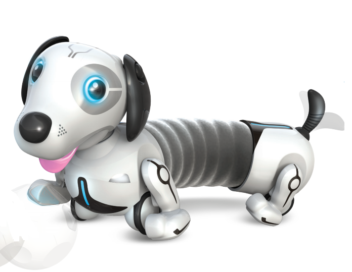 robotic ball for dogs