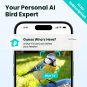 Birdfy Rookie Lite Smart Feeder