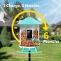 Birdfy Solar-Powered AI Feeder