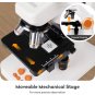 Digital Microscope MT3-4 MatataStudio