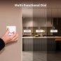 H2 EU Aqara dimmer switch