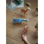 Koa Koa Animals X-ray 
