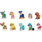 Multipack Paw Patrol 10 Anniversary Figures