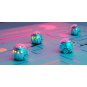 Ozobot Evo Entry Educational Robot