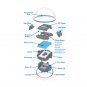 Sphero Bolt Plus