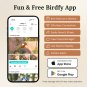 Terra Birdfy Feeder