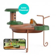 Baignoire Oiseaux Birdbath Jolly V AI Birdfy Abonnement