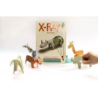 Koa Koa Animals X-Ray 