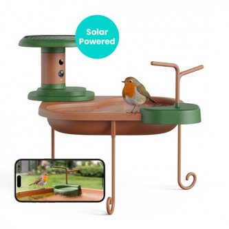 Birdbath Jolly V AI Birdfy Subscription based