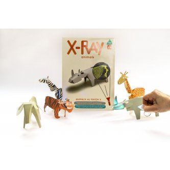 Koa Koa Animals X-ray 