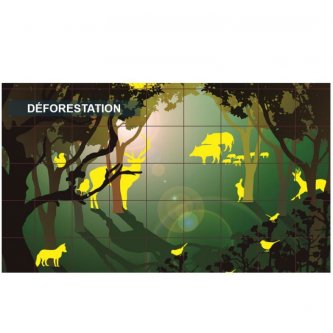 Mats and EducBook The forest ED Beebot