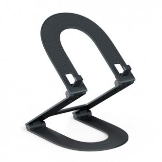 Curve Mini Twelve South support iPad