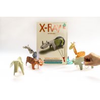 Koa Koa Animals X-ray 