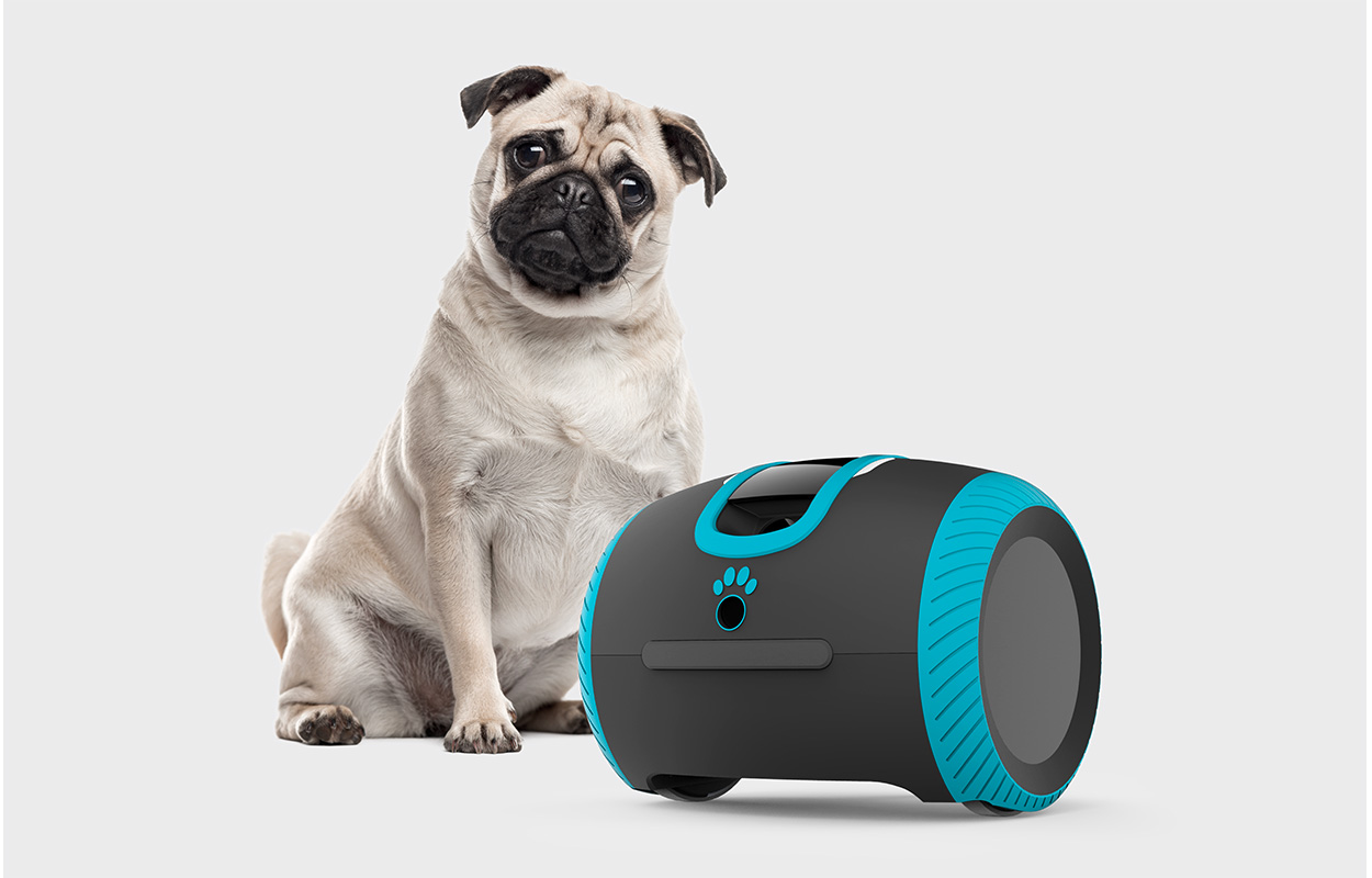 Robot pour chiens Laka de Camtoy