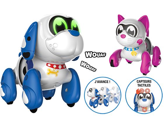 Ruffy Et Mooko Robots Chien Et Chat Pour Les Enfants