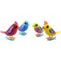 Digibirds oiseaux interactifs raliste