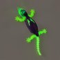 Gecko tlcommand Glow in the dark