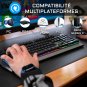 Pack gaming clavier et souris Tungsten the G-Lab