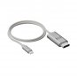 ProCable USB-C-DP 2m LINQ