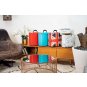 Victrola Valise  vinyles