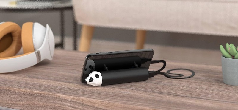 External battery Power Pets Mobility On Board