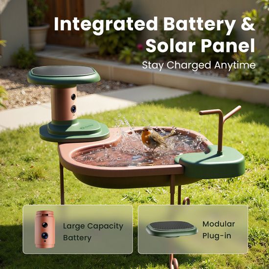 Birdbath Jolly V AI Birdfy