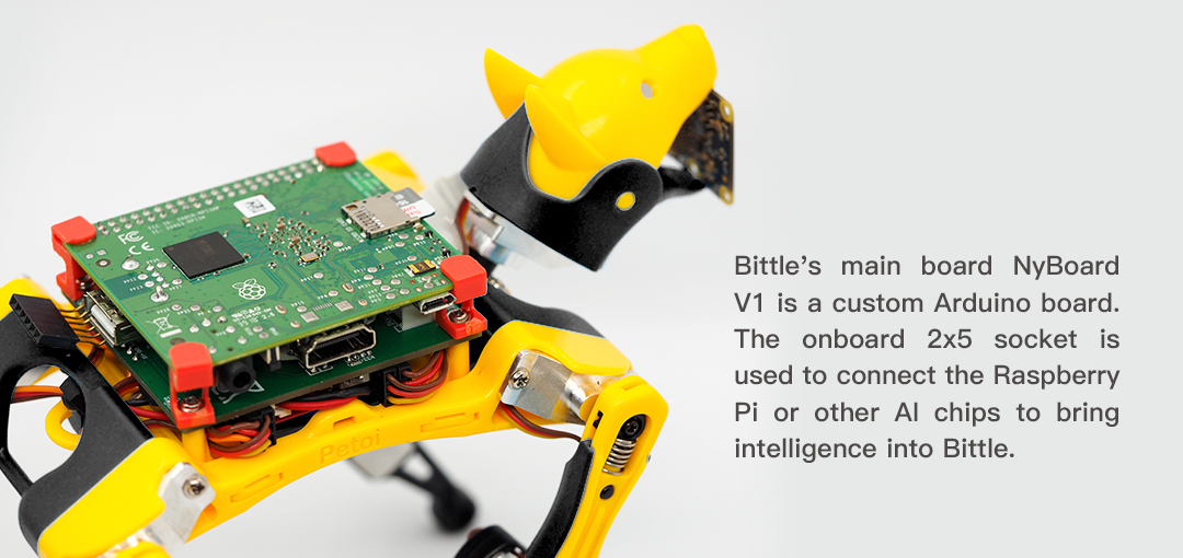 Components of Petoi Bittle Kit