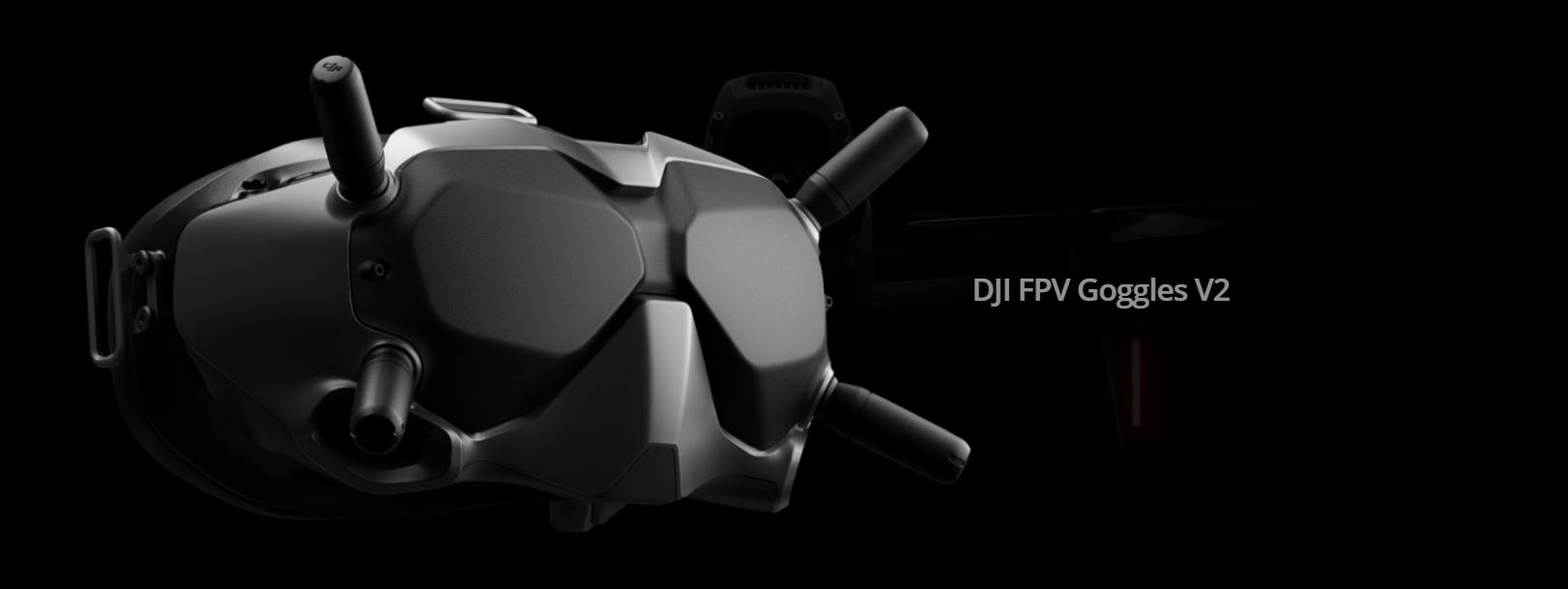 DJI FPV Goggles V2