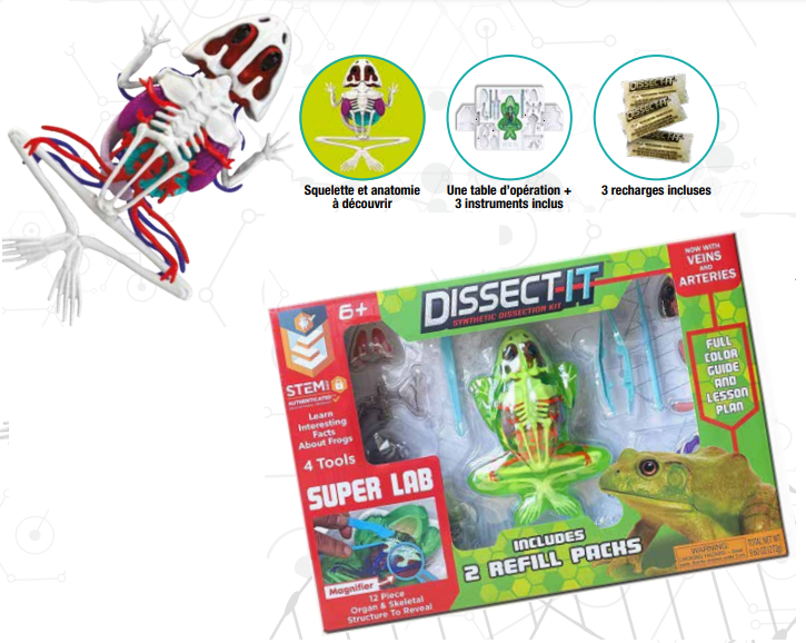 Mega pack grenouille Dissect-it