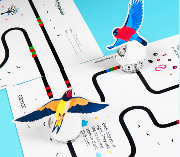 Evo Classroom Kit 18 Robots Ozobot