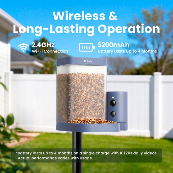 Feeder Rookie Lite Birdfy mangeoire connectee