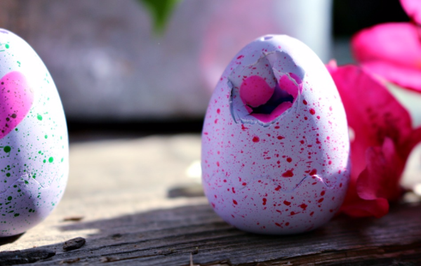 Hatchimals egg hatching