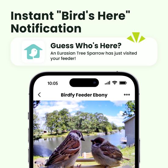 Nichoir connect� Birdfy House Ebony