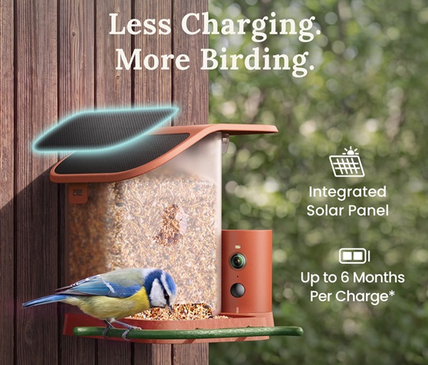 Mangeoire Terra Birdfy