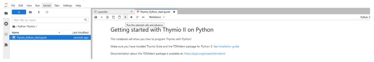 Jupyter Notebooks for Thymio