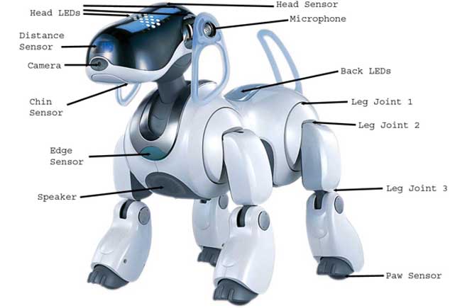 Somposants du chien Aibo