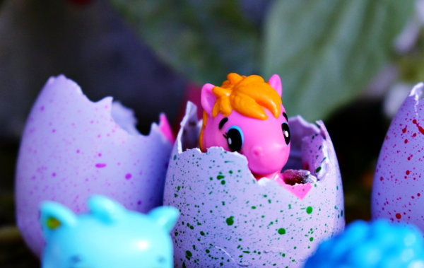 Hatchimals eggs to collect