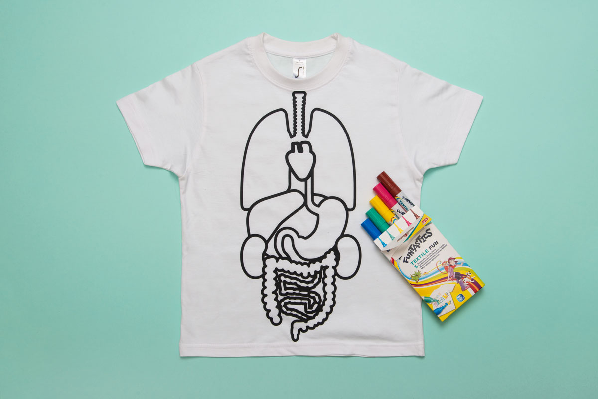 Koa Koa organs of the human body
