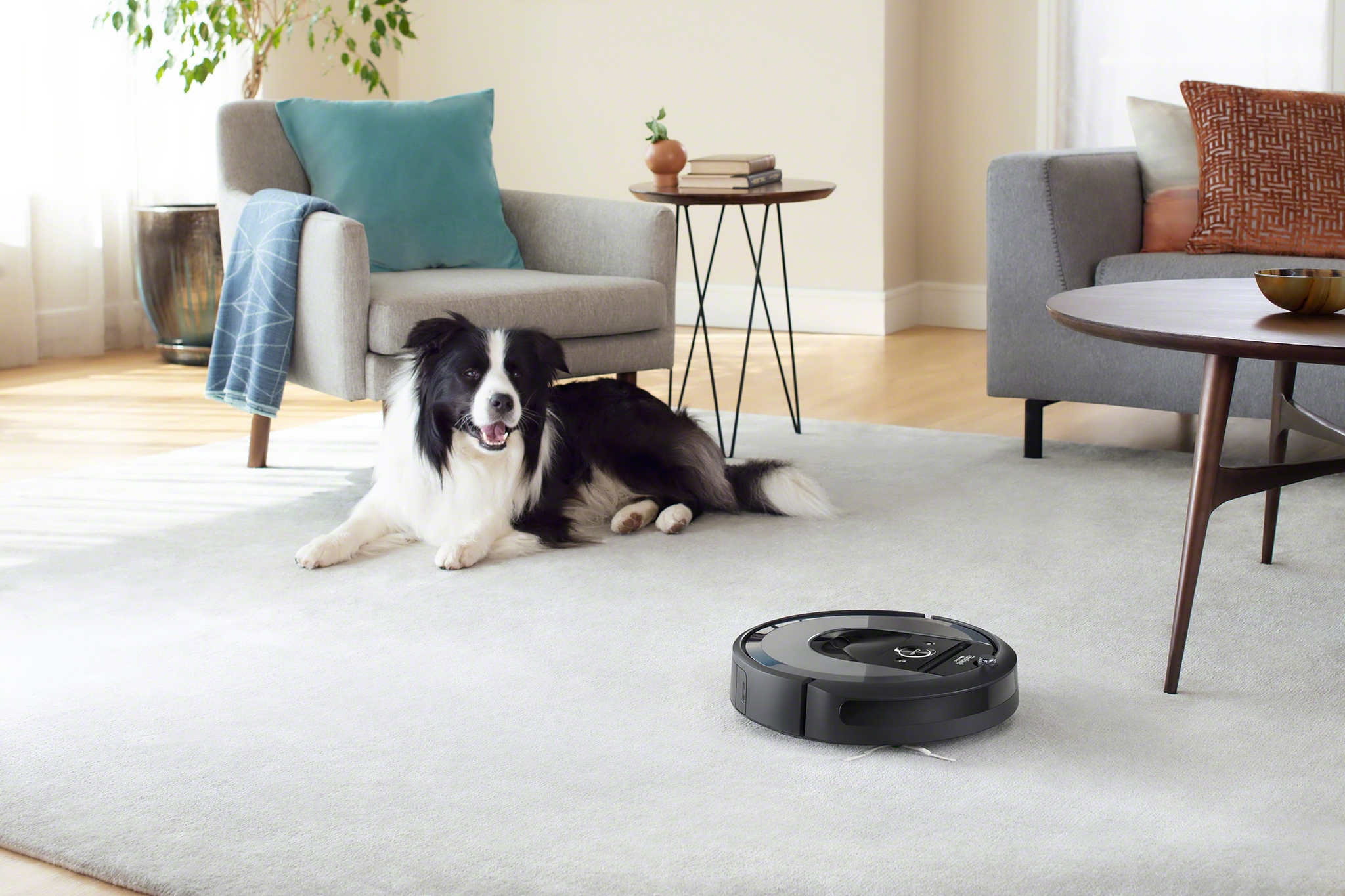 robots aspirateur iRobot